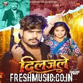 Diljale (Raushan Rohi, Srishti Bharti)