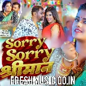 Sorry Sorry Shriman
