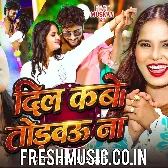 Dil Kabo Todbau Na