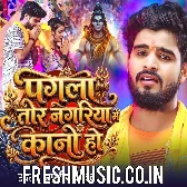 Pagla Tor Nagariya Me Kano Ho