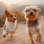 Two happy dogs interacting peacefully